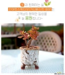 (화이트)- 작가도예 수제 화분 예쁜화분 다육화분 베란다화분 개업화분 특이한화분 선물화분 -IS-소형-둥근사각형 인아트스튜디오 다육화분