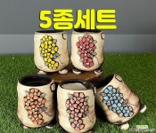 국산수제화분 도향167(5종세트) 다육화분