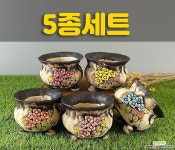 국산수제화분 도향219(5종세트) 다육화분