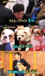 힐링캠프 이경규, 애완견 깜짝 공개 내 힐링 메이트 '힐링캠프' 이경규, 애완견 깜짝 공개 "내 힐링 메이트"