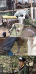 삼시세끼 김광규, 옥택연의 염소젖 짜는 실력에 감탄 &#039;삼시세끼&#039; 김광규, 옥택연의 염소젖 짜는 실력에 감탄