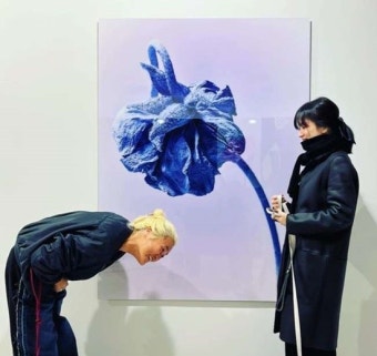 송중기 열애에 '쿨'한 송혜교?…평범한 근황일 뿐 [엑's 초점]