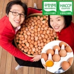 [잇츠프레쉬] 스테비아 대추방울토마토500g x 2팩 | 잇츠푸드M - 예스24