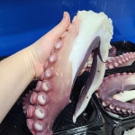 국내산 손질민물장어3kg+소스+생강채(정직한은성수산) - YES24