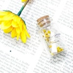 [NaturH] 빅 캡슐 케이스 - 예스24