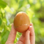 광천 토굴에서 숙성한 새우젓 추젓(특) 1kg | 새우젓 | 농업회사법인 주식회사 사그담 - 예스24