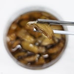 남도의꿈 고흥 동오동수산 바지락 2kg | 바지락 | 지인푸드 - 예스24