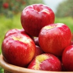 [과일愛]정성담은 과일세트 6호 (사과4과+배8과 5.5kg) | (주)글로벌푸드시스템 - 예스24