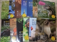 [중고샵] 월드베스트)그린키즈 자연관찰 - 예스24 [중고샵]월드베스트)그린키즈 자연관찰 - 예스24