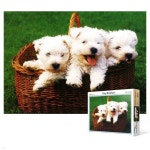 500pcs 천칭자리-야광 (PL625) | 직소퍼즐 | (주)비엔비퍼즐 - 예스24