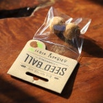 움직이는 식물 - 미모사(신경초) 키우기 | 주식회사 틔움세상 - 예스24