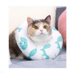 순수 오리딩고껌 1P (7인치) x 5개 (n) - 예스24