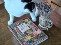 조향사가 들려주는 향기로운 식물도감 | 프레디 고즐랜드 | 도원사 - 예스24