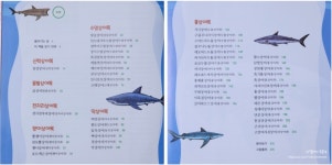 [알라딘서재]자연의 신비! 댕글댕글~ 상어, 어떻게 구별할까?