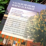 보테로 가족의 사랑 약국 | 이선영 | 클레이하우스 - 예스24