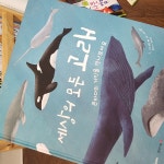 세상의 모든 고래 | 다시 도벨 | 생각의집 - 예스24