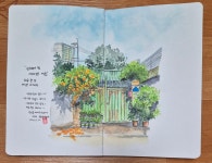 하루 한 장 어반 스케치 | 김성호 | 경향비피 - 예스24