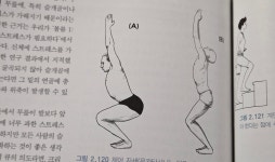 유어 바디 유어 요가 | 버니 클락 | 대성의학사 - 예스24