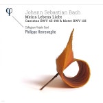 45, 198번, 모테트 (J.S.Bach: Cantatas BWV45, BWV198, Motet BWV118) - YES24 Philippe Herreweghe 바흐: 칸타타 45, 198번... 