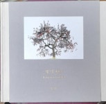 [중고샵] 빛의 변주 <양대호 사진집> | 양대호 | 하얀나무 - 예스24