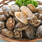 청정바다 국산 바지락 2kg 뽀얀국물 자연산 제철조개 - 예스24