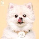 [코코레오] 더 핏 피트니스 체커 - 예스24