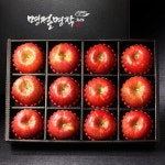 [과일愛][명절명작]과일 선물세트 사과 4호 (12과 - 4kg) | (주)글로벌푸드시스템 - 예스24