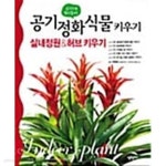 실내 오염 빨아 들이는 공기정화식물 키우기 - YES24