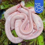 산꼼장어 - 예스24