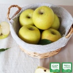 [이슬마루] 황금사과 시나노골드 흠과 5kg(17~24과) | 잇츠푸드M - 예스24