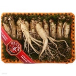 [금산인삼] 명품수삼 1kg/11~13편(왕특) | 수삼 | (주)아이원세븐 - 예스24