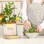 사탕수수 추출 BIO-PE를 사용한 위생장갑(100매) - YES24