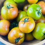 [잇츠푸드] 부산 강동토마토 2.5kg x 2박스(로얄과) - YES24