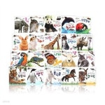 지구별 자연동화 - 예스24