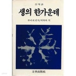 신역판 생의 한가운데 - YES24