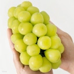 [잇츠프레쉬] 국내산 경북 망고포도 샤인머스켓 1kg(2~3수)에어백포장 | 잇츠푸드M - 예스24