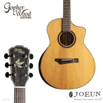 [고퍼우드] 어쿠스틱기타 i365RC 중급용 통기타 베벨컷 | 조은악기사 - 예스24