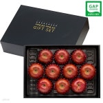 [GAP인증] 자연담은 햇사과세트 3.3kg/10과 - 예스24