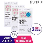 [뉴트립] 혈당 밸런스 바나바 500mg*90정 (3박스/3개월분) - 예스24
