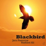 Jaco Pastorius / Rashied Ali (자코 패스토리우스 / 라시드 알리) - Blackbir...