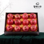 [과일愛][열매나무]프리미엄 사과선물세트 1호 [사과12과] 4kg | (주)글로벌푸드시스템 - 예스24