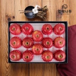[과일愛]정성담은 사과세트 2호 4kg 13~16과 | (주)글로벌푸드시스템 - 예스24
