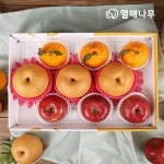 [열매나무]행복담은 과일세트 2호[사과3과+배3과+한라봉3과] 3.5kg - YES24