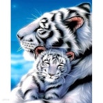 백호의 모정 (캔버스) 보석십자수 40x50 (사각큐빅) | 주식회사 퍼즐사랑 - 예스24