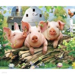 복돼지 삼형제 (캔버스) 보석십자수 40x50 (원형큐빅) | 주식회사 퍼즐사랑 - 예스24