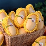 [MangoFarm] 카라바오 망고 5kg/24과 - YES24