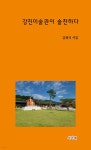 강진미술관이 솔찬하다 - 예스24