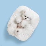 방석매트 - YES24