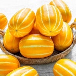 성주 참외 10kg (21-25과) - YES24