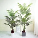 OMT 아레카야자 인테리어 조화나무 160cm 대형 화분 | 주식회사 오케이마트 - 예스24
